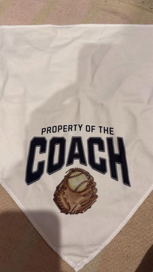 Baseball Large Dog Bandanna